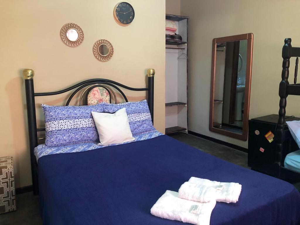 Hostel Limao Doce 新弗里堡 外观 照片